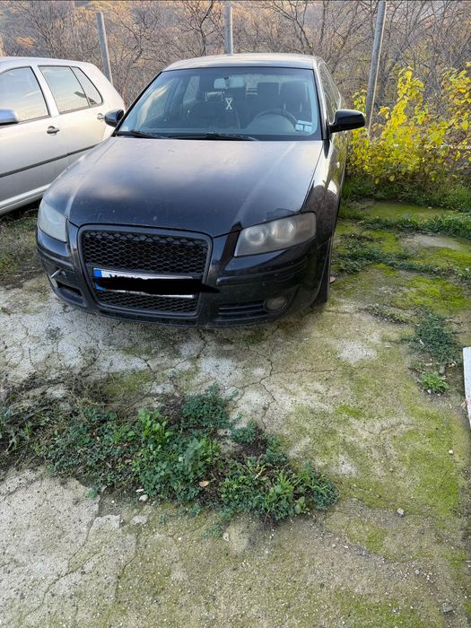 Audi A3 8p 1.9TDI на части