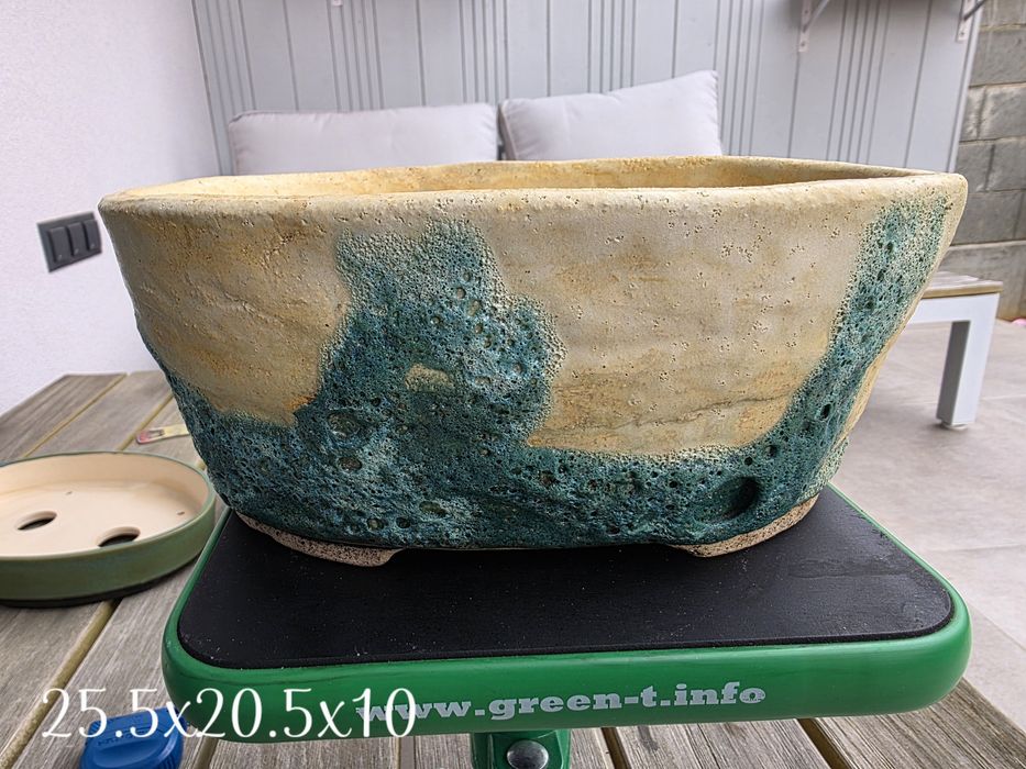Vand vas pentru bonsai