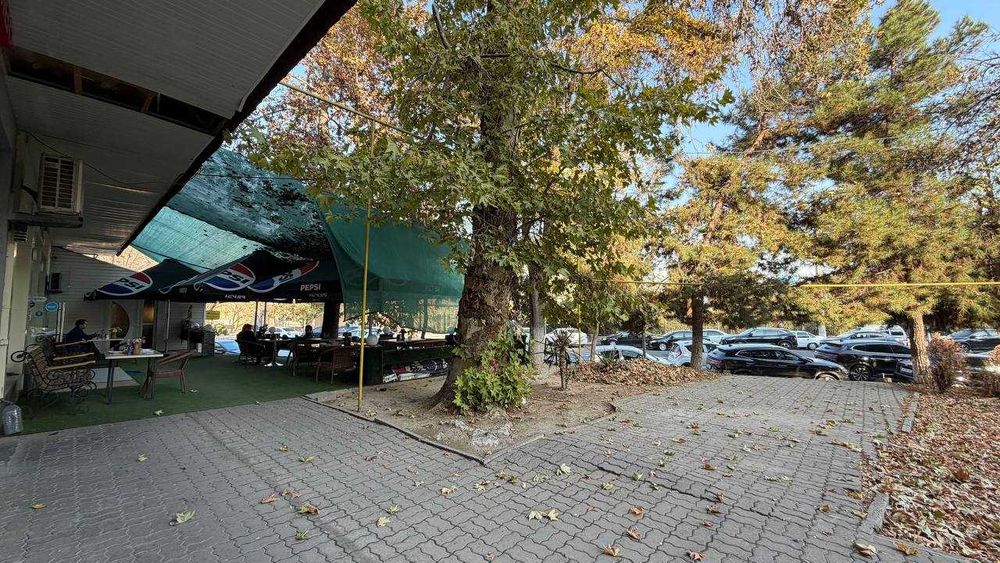 154 кв.м Шевченко Делимое Цум Кафе Магазин  Аптек Стоматол 110 шк Ц 7