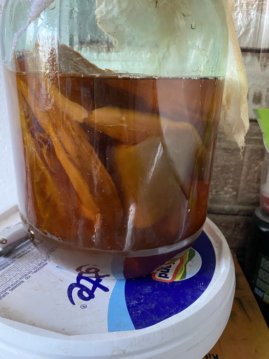 Продам чай гриб