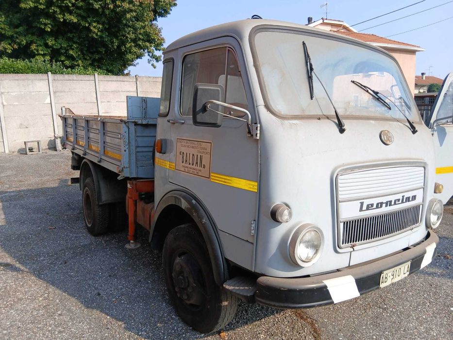 Vând Leoncin 35 c