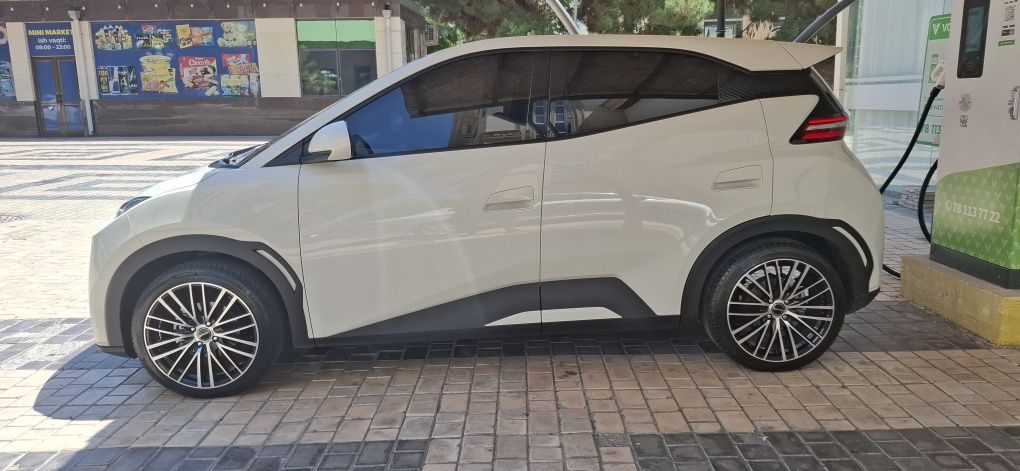 Byd seagull 2023