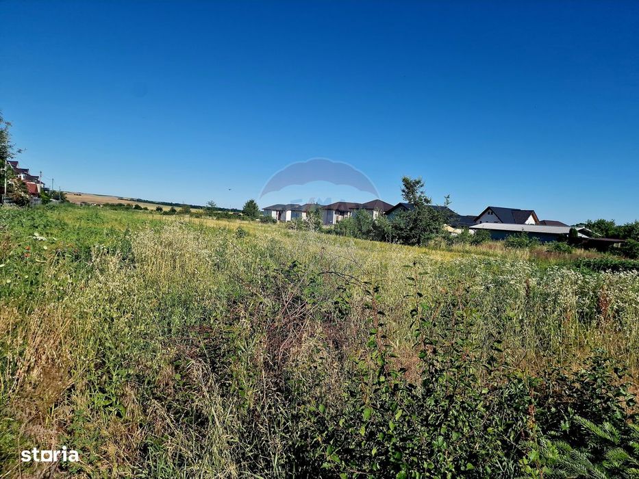 Teren 3.538 mp – Zonă în Dezvoltare, Piatra Neamț