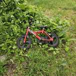 Детско колело Dino BikesRaptor12