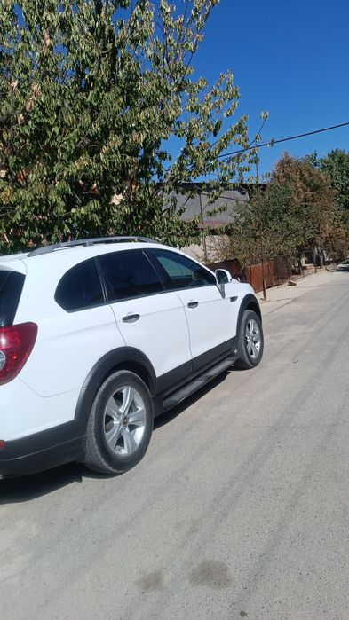 Arzon captiva  bor