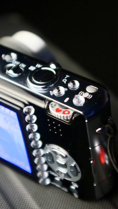 Panasonic LUMIX DMC-FX8 5.0MP Digital Camera