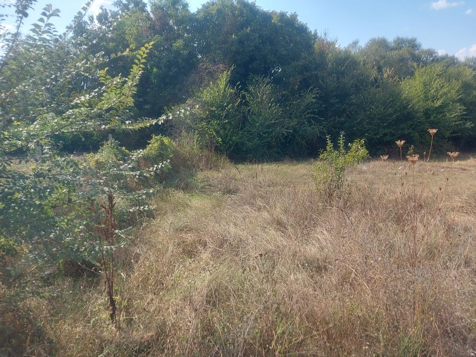 Продава се Парцел в с. Пролом, Област Пловдив - 2090 кв.м за 6 €/кв.м - Снимка #10