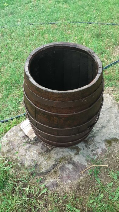 Butoi stejar, ghiveci plante ornamentale  gradina