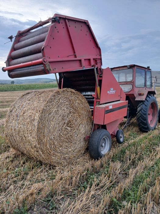 Balotiera rotunda RP15