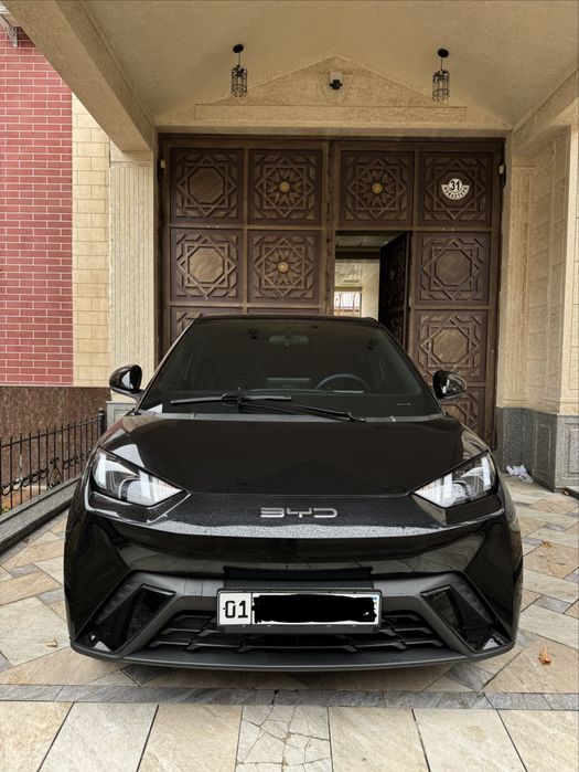 Официальный BYD Seagull  16200$