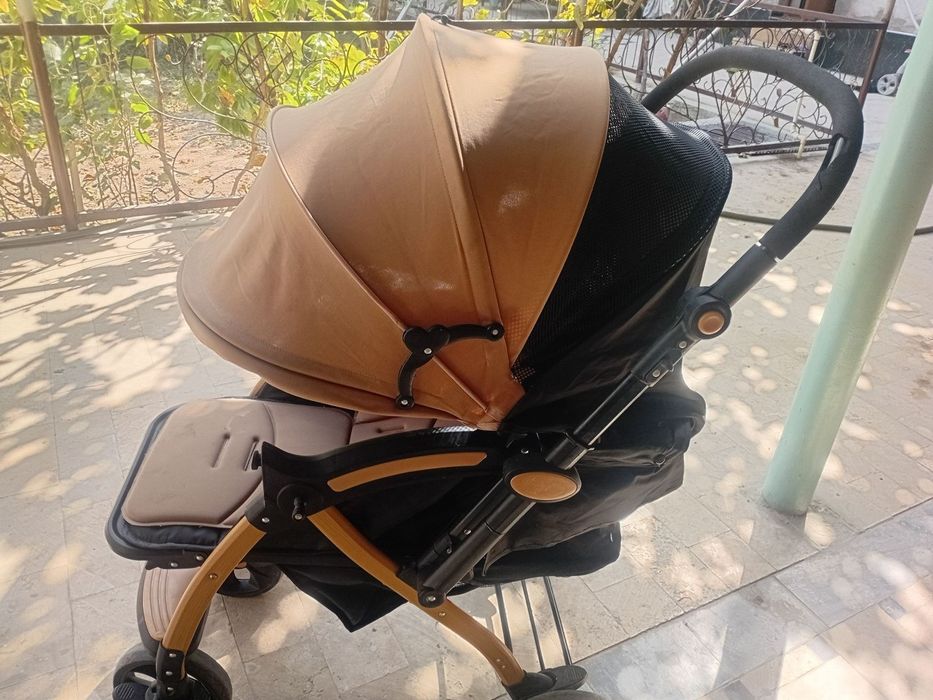 Коляски люкс камфорт