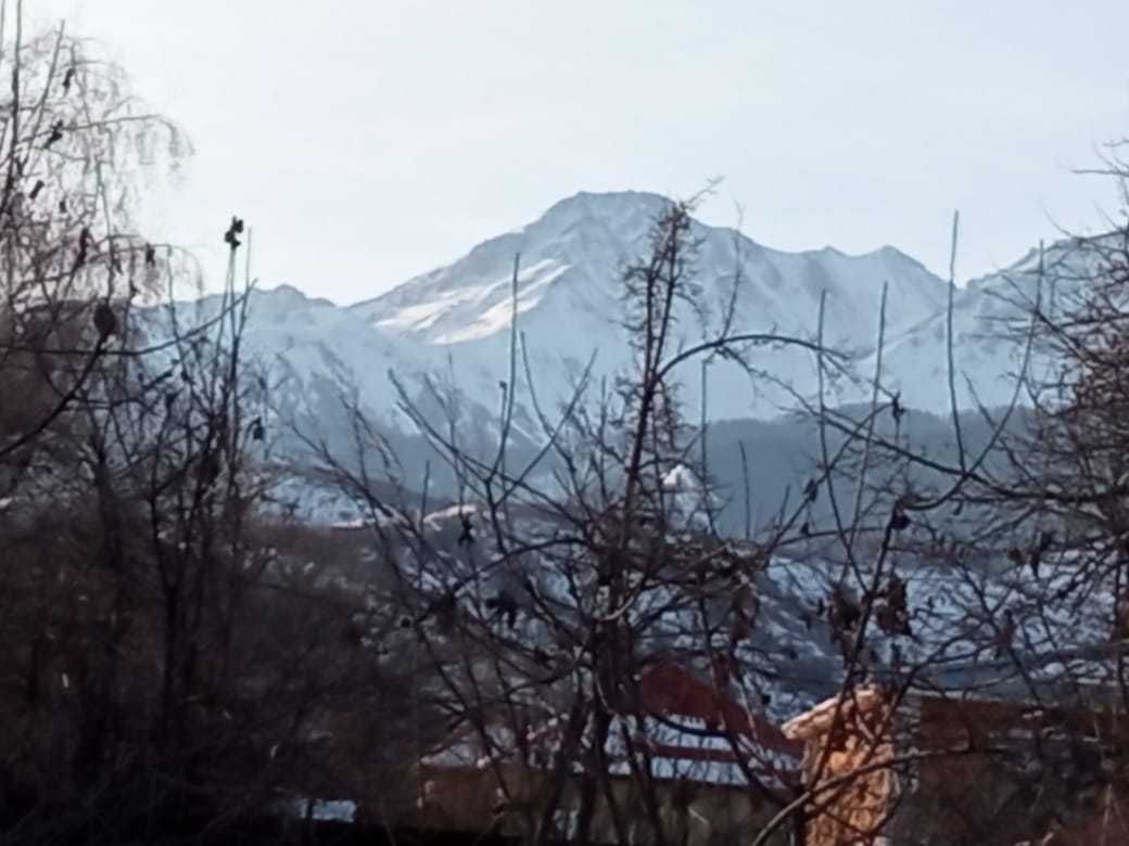 Недвижимость Алматы