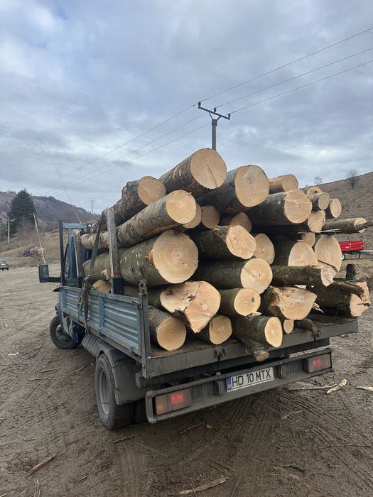 Lemn de foc FAG 3,5 CUB