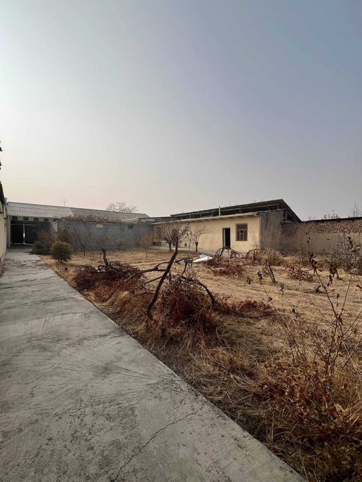 Фарғона шаҳар Садвин Савхоз