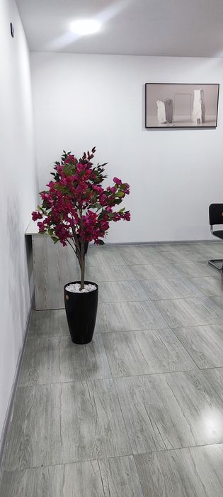 Аренда коференц зал/учебный центр по часовая