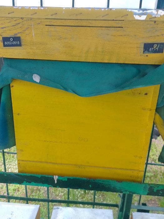 Пчелни празни кошери