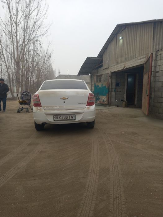 Coblt 2020 kraskasi tozza