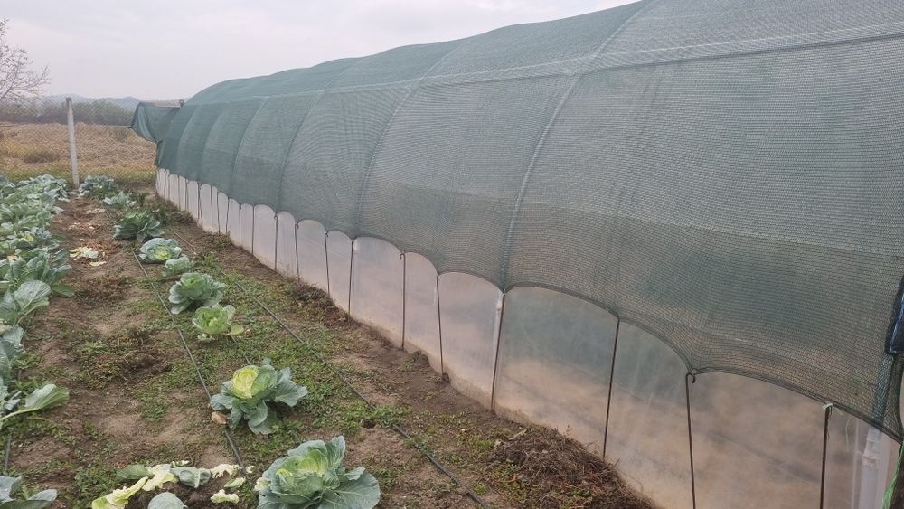Solar grădină ,în stare bună.Trebuie demontat.