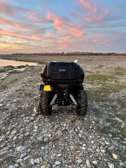 Arctic cat 300 2X4