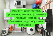 Ремонт, диагностика, промывка мастер газовых котлов. Сантехник.