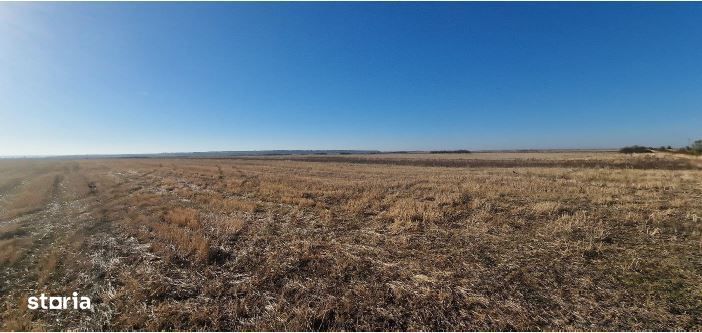 Teren Gradinari, cota 1/2. ID: R1983933