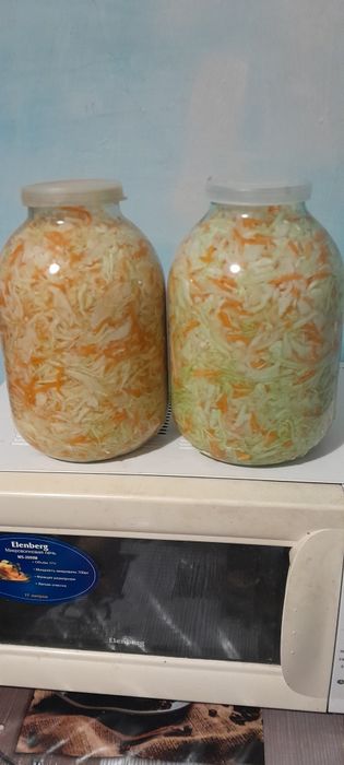 Продам Капуста домашния