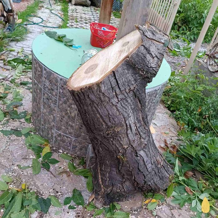 Продавам орехови дънери