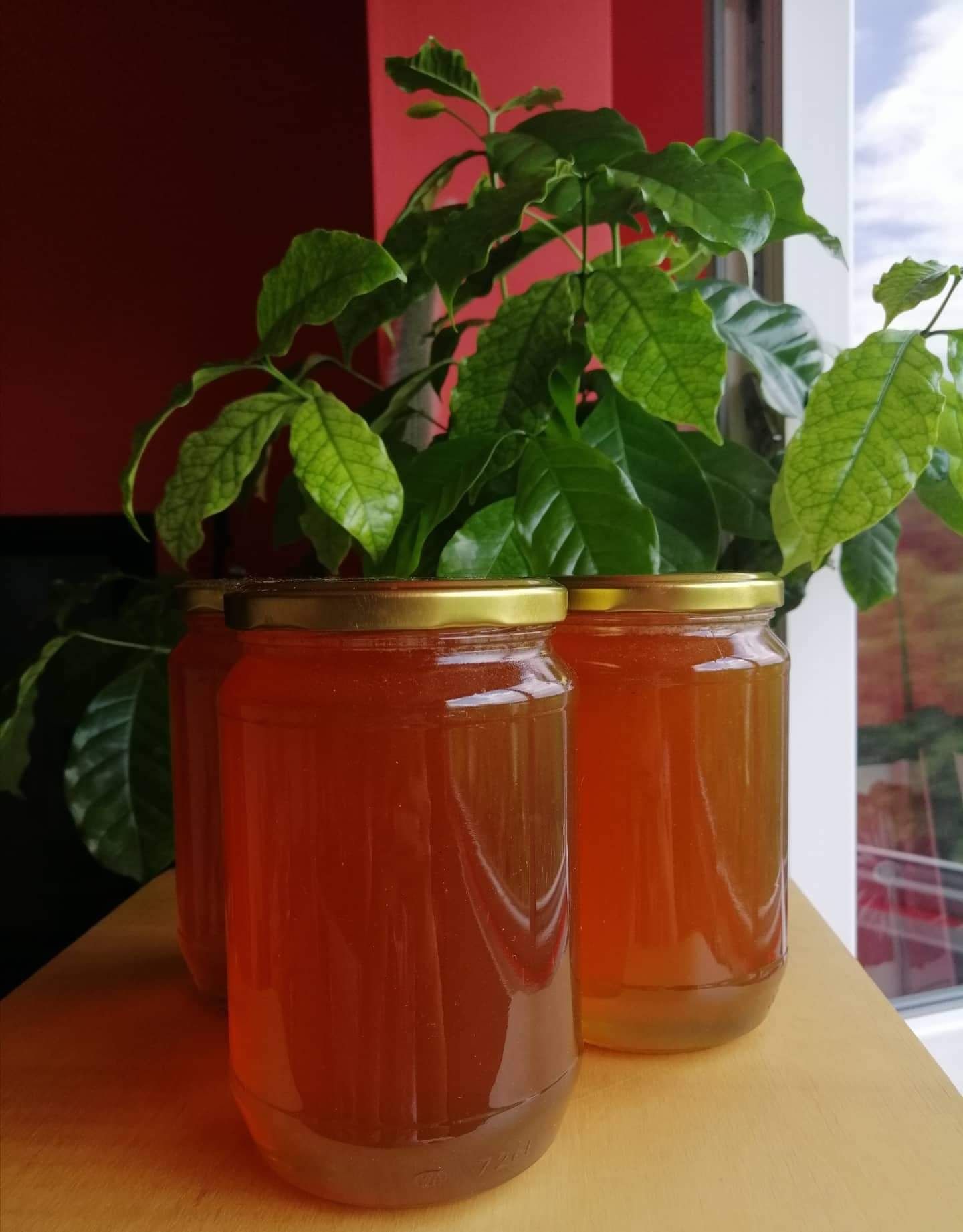 Пчелен мед,липов и тъмен есенен букет,нова реколта