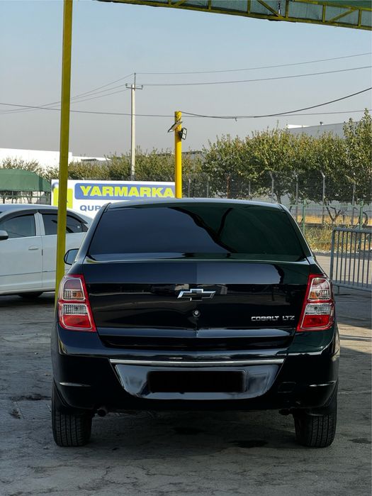 Cobalt Ltz 2023