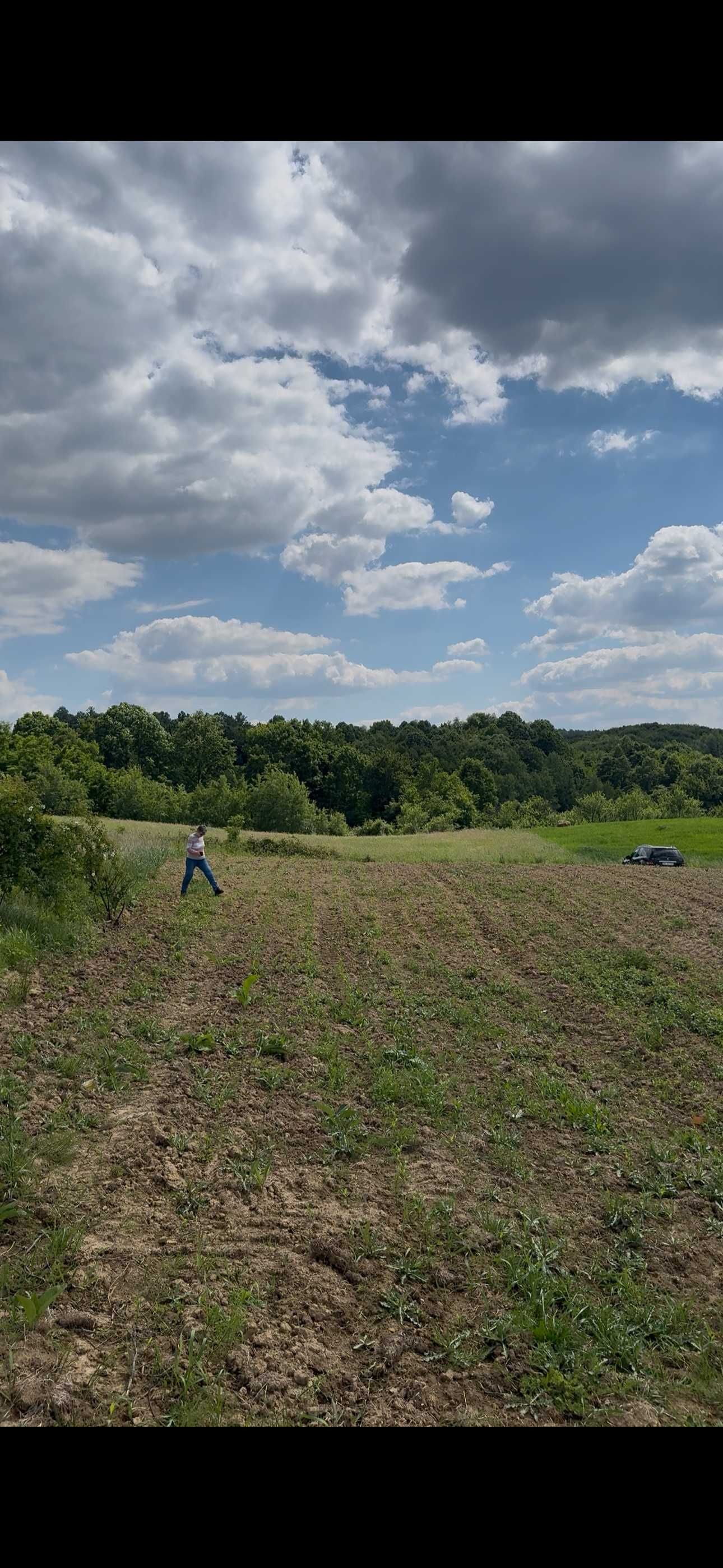 Teren intravilan - Lazareni , Bihor