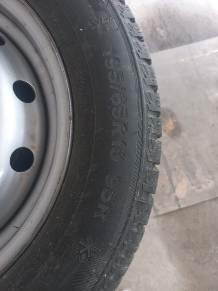 Автошины
