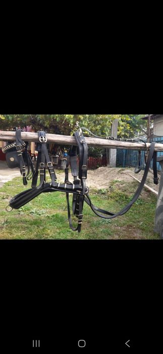 Ham piele de vanzare