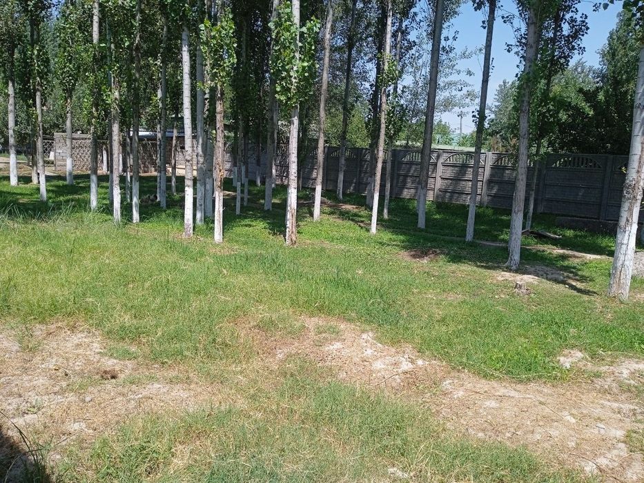 Продаю землю 5соток г.Янгиюль