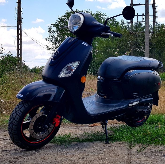 Sym fidele  50cm  3cp an 20
