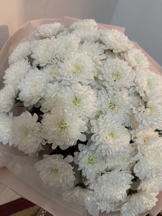 Белая хризантема