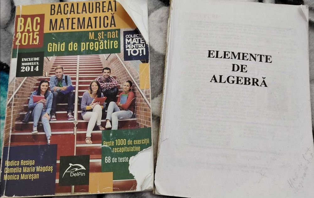 Culegeri pentru Bac și liceu: matematică X–XII, biologie, română.