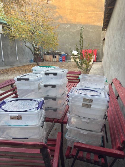 Контейнерь посуда