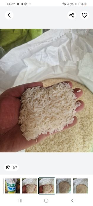 Рис шымкенте Лазер