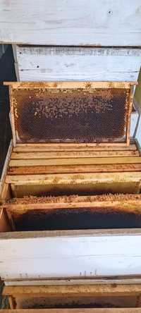 Продам сушь для пчёл