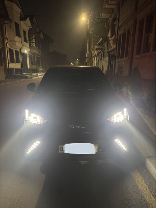 Bud seagull Черный