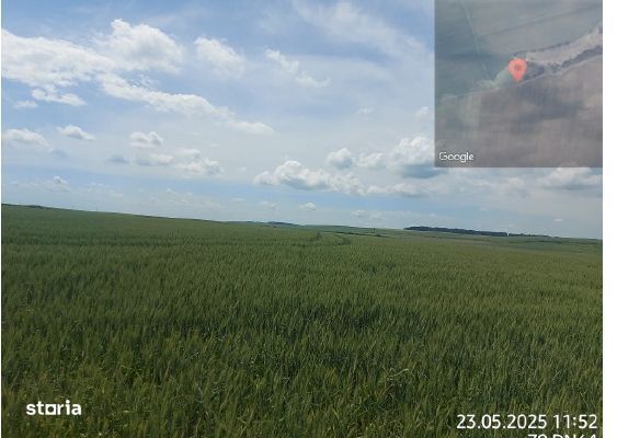 Teren extravilan 5000 mp Loc Plesoiu, Jud Olt