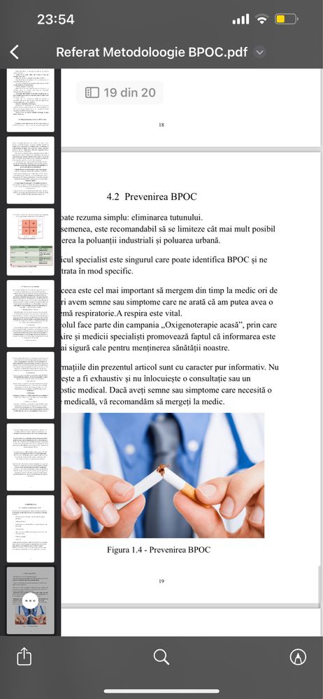 Referate/eseuri/proiecte/prezentări școlare