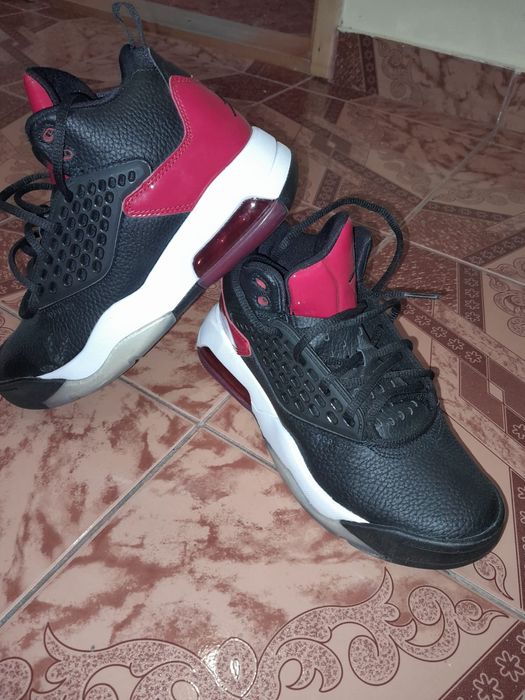 Schimb Jordan Maxim 200 pe un cățeluș de rasa