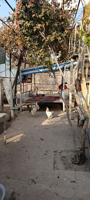 Продаётся дача на Таш-Морем