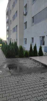 Apartament de doua camere parter Bucuresti, Sector 1, Complex FeliCity