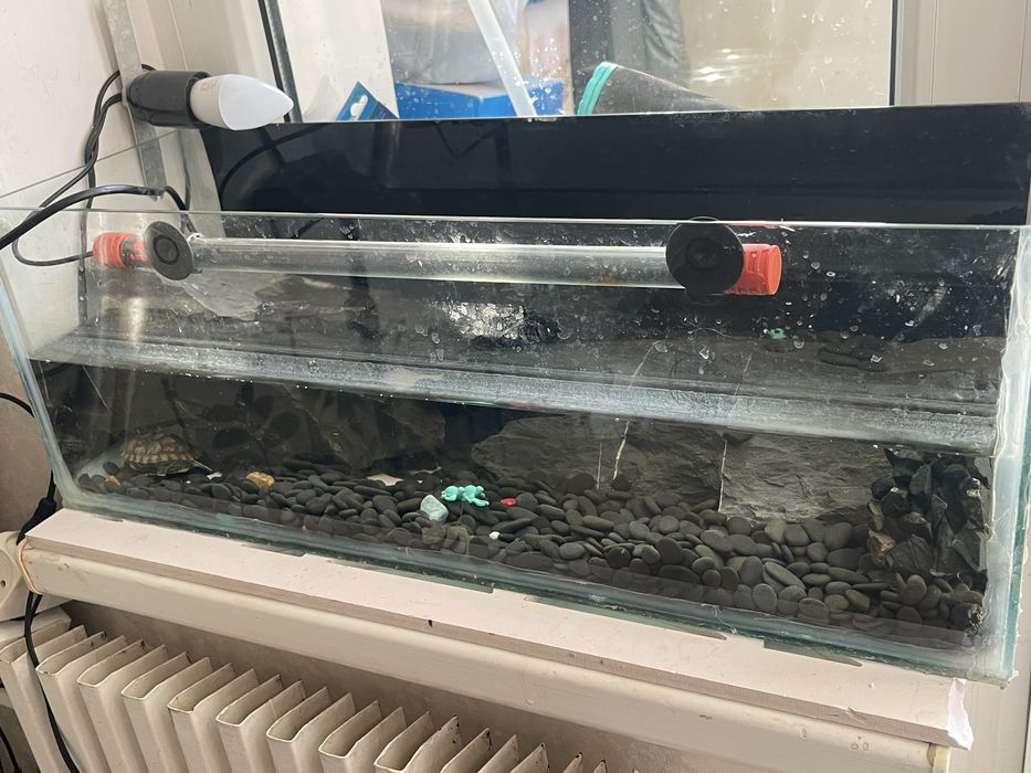 Аквариум с черепахой 15л