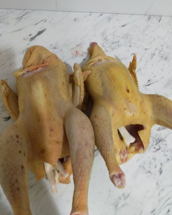 Pasari pui/gaini/cocosi