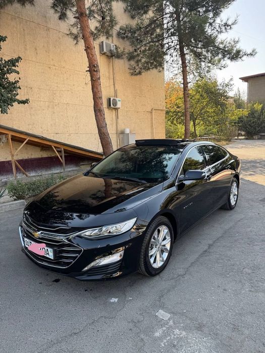 Малибу. .2022   Примэр.  Кора.