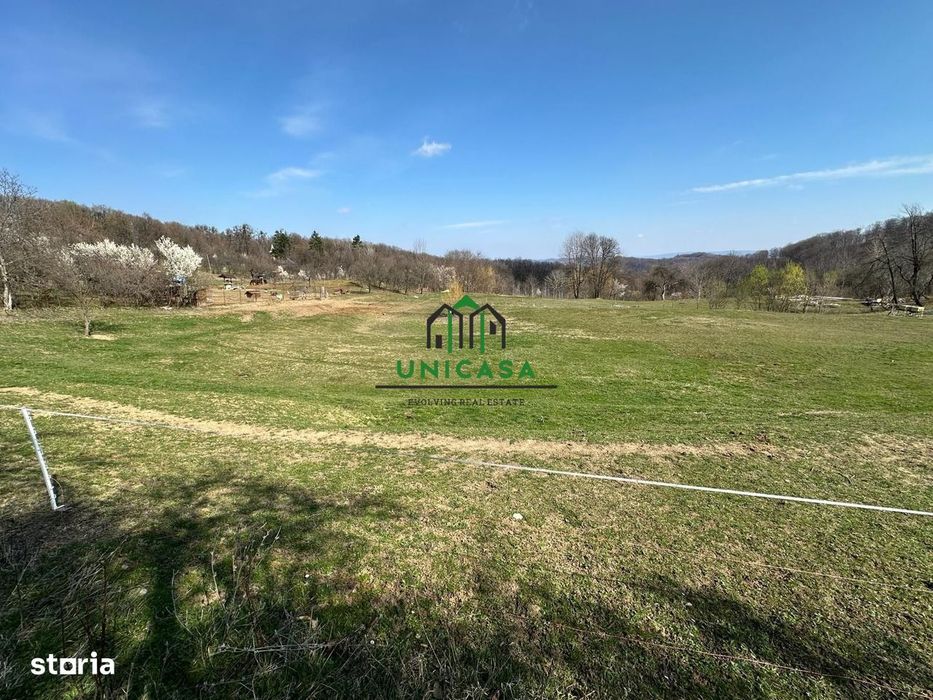 Teren Govora / 8131mp