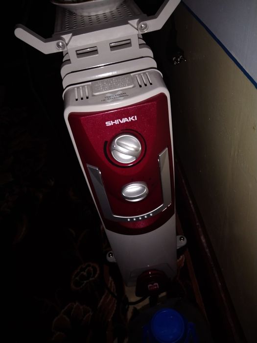 Pecha sotiladi 12 qovirgʻali